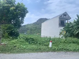 Bức ảnh chụp một khung cảnh nông thôn đặc trưng ở Việt Nam, có khả năng là ở vùng Thanh Hóa. Ở phía trước là ven đường với các bụi cây rậm rạp và một cọc tiêu sơn trắng-đỏ nhưng không rõ số. Trung tâm của bức ảnh là một ngôi nhà hai tầng kiểu hiện đại với tường trắng, bên cạnh là cây cối và một bụi chuối. Phía sau ngôi nhà là một cánh đồng lúa xanh trải dài đến chân núi. Dưới chân núi đá vôi hùng vĩ ở phía sau, có một vài ngôi mộ hoặc miếu thờ nhỏ. Toàn bộ khung cảnh mang lại cảm giác yên bình của vùng quê đồng bằng Bắc Bộ Việt Nam dưới bầu trời có mây.。（日本語訳）。この写真はベトナムの典型的な田園風景を写したもので、おそらくタインホア地方のものでしょう。手前には、草木が鬱蒼と茂る道端と、赤と白に塗られたキロポストがありますが、数字ははっきりしません。写真の中央には、白い壁の近代的な二階建ての家があり、その隣には木々とバナナの茂みがあります。家の後ろには、山の麓まで広がる青々とした水田があります。後方にある雄大な石灰岩の山の麓には、いくつかの墓または小さな祠があります。曇り空の下、ベトナム北部の平野部の田舎の穏やかな雰囲気を、風景全体が醸し出しています。