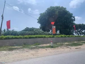 写真には看板の文字があります。赤い宣伝パネルには「国民の豊かで幸福な生活のために、力を合わせて新しい農村を建設しよう」と書かれています。別の青い看板には「Thảo Thanh ヤギ肉」と書かれています。背景は、雲のある青空の下、田舎のアスファルト道路です。道端には、赤と白に塗られた道路境界標、低いコンクリートの壁、そして多くの緑の木々があります。3つの旗が掲げられています。1つはベトナム国旗（金星紅旗）、そして2つは無地のピンクの旗です。宣伝パネルは、ここが政府の新農村建設計画を実施している地域であることを示しています。「ヤギ肉」の看板は、近くに専門のレストランまたは食堂があることを示しています。人や特定の活動は行われていません