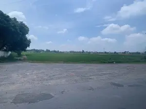 Bức ảnh chụp một khung cảnh nông thôn yên bình. Tiền cảnh là một con đường có bề mặt đã cũ. Phía sau con đường là một cánh đồng lúa xanh bát ngát trải dài. Ở phía xa là một ngôi làng với những ngôi nhà, cây cối và các cột điện. Bầu trời trong xanh, điểm xuyết những đám mây trắng. Phía bên trái có một lùm cây xanh rậm rạp và một phần của bức tường trắng. Không có người hay hoạt động nào đang diễn ra. Không có bất kỳ chữ viết hay biển báo nào trong ảnh.。（日本語訳）。写真は、のどかな田園風景を写しています。前景には、表面が古くなった道があります。道の後ろには、青々とした広大な水田が広がっています。遠くには、家々、木々、そして電柱のある村があります。空は青く澄んでおり、白い雲が点在しています。左側には、青々と茂った木々の茂みと、白い壁の一部があります。人や活動の様子は見られません。写真には、いかなる文字や標識もありません。