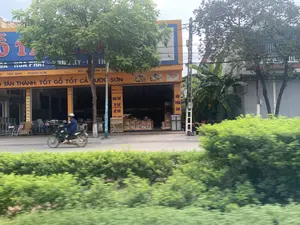 Bức ảnh chụp một con đường với các cửa hàng ven đường, có khả năng ở khu vực Yên Định, Thanh Hóa. Một người đang lái xe máy trên đường. Phía bên kia đường là một tòa nhà lớn màu cam, là một cửa hàng bán đồ gỗ và nội thất. Các biển hiệu có thể đọc được bao gồm: trên biển hiệu lớn màu xanh có chữ 'HÒA PHÁT', bên dưới là biển màu cam ghi '... YÊN ĐỊNH - THANH HOÁ' và khẩu hiệu 'TÂN THÀNH: TỐT GỖ TỐT CẢ NƯỚC SƠN'. Các biển hiệu dọc quảng cáo 'BÀN THỜ, TỦ THỜ, ĐỒ THỜ, CÁC LOẠI' và 'NỘI THẤT GIA ĐÌNH'. Cửa hàng đang trưng bày nhiều sản phẩm đồ gỗ như bàn thờ, tủ, ghế. Cảnh quan có nhiều cây xanh và một cột điện.。（日本語訳）。写真は、おそらくタインホア省イエンディン地区にある、道沿いに店が並ぶ一本の道を写している。一人の人が路上でバイクを運転している。道の向こう側には大きなオレンジ色の建物があり、それは木製家具とインテリアの店である。読み取れる看板には、大きな青い看板の「HÒA PHÁT」の文字、その下のオレンジ色の看板に書かれた「... YÊN ĐỊNH - THANH HOÁ」、そして「TÂN THÀNH: TỐT GỖ TỐT CẢ NƯỚC SƠN」というスローガンが含まれる。縦長の看板は「祭壇、仏壇、祭具、各種」と「家庭用家具」を広告している。店は祭壇、棚、椅子などの多くの木製品を展示している。風景には多くの緑の木々と一本の電柱がある。
