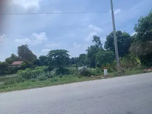 Hình ảnh ghi lại một khung cảnh làng quê ở Việt Nam. Ở phía trước là một con đường nhựa. Bên lề đường có một cột điện bê tông, một cột mốc nhỏ sơn trắng và đỏ, và nhiều cây cối, bụi rậm. Có thể nhận ra các loại cây quen thuộc như cây chuối và cây đu đủ. Phía sau những lùm cây là một con sông hoặc ao hồ, trên mặt nước có lá sen hoặc hoa súng. Ở phía xa, bên kia mặt nước, có một ngôi nhà mái màu nâu đỏ ẩn mình giữa những tán cây rậm rạp. Bầu trời trong xanh, có vài gợn mây trắng. Không có hoạt động nào của con người được ghi lại, chỉ có một cảnh quan thiên nhiên tĩnh lặng.。（日本語訳）。画像はベトナムのある田舎の風景を捉えています。手前にはアスファルトの道があります。道端には、コンクリートの電柱、白と赤に塗られた小さな標識柱、そして多くの木々や茂みがあります。バナナの木やパパイヤの木のような、見慣れた種類の植物が見分けられます。木々の茂みの後ろには川か池があり、水面には蓮の葉か睡蓮の花があります。遠く、水面の向こう側には、赤褐色の屋根の家が鬱蒼とした木々の間に隠れています。空は青く澄んでおり、白い雲がいくつか浮かんでいます。人間の活動は記録されておらず、静かな自然の景観だけがあります。