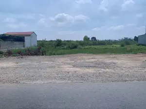 Trên một bãi đất trống có cắm một tấm biển màu đỏ ghi dòng chữ 'CHO THUÊ ĐẤT'. Khung cảnh là một khu đất bỏ hoang nằm ven một con đường nhựa ở khu vực nông thôn. Phía trước là một khoảng đất trống trải sỏi đá và đất, có một đống cành cây khô. Bên trái là một ngôi nhà cấp 4 có tường trắng, mái tôn màu đỏ và được bao quanh bởi tường rào bằng đá. Phía sau khu đất là cây cối và cỏ dại mọc um tùm. Xa xa có thể thấy những dãy núi mờ. Bầu trời trong xanh và có nhiều mây trắng.。（日本語訳）。ある空き地に、「土地貸します」と書かれた赤い看板が立てられています。風景は、田舎のアスファルト道路沿いにある放置された土地です。手前には砂利と土で覆われた空き地があり、枯れ枝の山があります。左側には、白い壁と赤いトタン屋根の平屋建ての家があり、石の塀で囲まれています。土地の後ろには、木々や雑草が生い茂っています。遠くには、霞んだ山々が見えます。空は青く澄んでおり、白い雲がたくさん浮かんでいます。