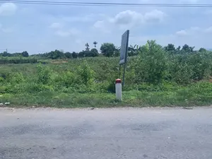 Bức ảnh chụp cảnh quan ven đường ở một vùng nông thôn. Phía trước là một con đường nhựa. Bên lề đường có một cột mốc bê tông sơn trắng và đỏ (cọc tiêu) và một biển báo lớn nhưng không thể đọc được nội dung. Phía sau là một khu đất nông nghiệp với cây cối um tùm, bao gồm một ruộng ngô, cây chuối và các loại cây khác. Ở phía xa, giữa những lùm cây, có một công trình kiến trúc truyền thống, có thể là một ngôi mộ hoặc miếu. Bầu trời có mây và có đường dây điện chạy ngang qua phía trên.。（日本語訳）。田舎の道端の風景を撮影した写真です。手前にはアスファルトの道があります。道端には、白と赤に塗られたコンクリート製のキロポスト（デリニエーターポール）と、内容は読み取れない大きな標識があります。その後ろには、トウモロコシ畑、バナナの木、その他の植物など、木々が鬱蒼と茂る農地が広がっています。遠くの木々の間には、墓か祠（ほこら）と思われる伝統的な建築物があります。空は曇っており、頭上には電線が横切っています。