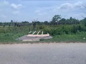 Cảnh quan vùng nông thôn ven đường. Phía trước là một con đường nhựa. Bên lề đường là một bãi cỏ và một cấu trúc bê tông được che phủ bởi một tấm bìa carton. Phía sau là một khu đất nông nghiệp với một hàng giàn dài làm bằng tre, nứa, được dựng lên để cho các loại cây dây leo phát triển. Xung quanh giàn cây là cây cối và cỏ dại mọc um tùm. Ở phía xa có thể thấy cây xanh và lùm cây chuối. Bầu trời có mây. Không có chữ viết hay biển báo nào trong ảnh.。（日本語訳）。道端の田舎の風景。手前にはアスファルトの道があります。道端には草地と、一枚の段ボールで覆われたコンクリートの構造物があります。その後ろには農地があり、つる性の植物が育つために立てられた、竹や笹で作られた長い棚の列があります。棚の周りには木々や雑草が生い茂っています。遠くには緑の木々とバナナの木の茂みが見えます。空は曇っています。写真にはいかなる文字や看板もありません。