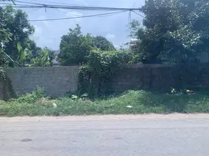 農村地域または郊外にある一本のアスファルトの道。道端にはセメントブロックで造られた壁がある。壁の後ろには、バナナの木を含む青々とした木々がたくさんあり、家の一部の屋根が木々の後ろから見え隠れしている。道と壁の間には雑草が生えている。上には雲のある青空と、複雑に張り巡らされた多くの電線やケーブルがある。人や特定の活動は見られない