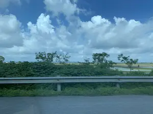 Bức ảnh được chụp từ một phương tiện đang di chuyển, ghi lại khung cảnh nông thôn ven đường. Ở tiền cảnh, có một dải hộ lan bằng kim loại chạy dọc theo con đường. Phía sau dải hộ lan là thảm thực vật xanh tươi gồm cây cối và bụi rậm. Ở phía xa, có thể thấy một cánh đồng lúa nước rộng lớn, mặt nước phản chiếu bầu trời. Trên cánh đồng có một vài con cò trắng đang kiếm ăn. Phía chân trời là dãy núi mờ ảo. Bầu trời trong xanh với nhiều đám mây trắng, tạo nên một khung cảnh yên bình.。（日本語訳）。写真は移動中の乗り物から撮影されたもので、道端の田園風景を捉えている。前景には、道路に沿って続く金属製のガードレールがある。ガードレールの後ろには、木々や低木からなる青々とした草木が広がっている。遠くには広大な水田が見え、その水面は空を映している。田んぼには、餌を探している数羽の白いサギがいる。空は青く澄み渡り、白い雲が多く浮かんでおり、穏やかな風景を作り出している。