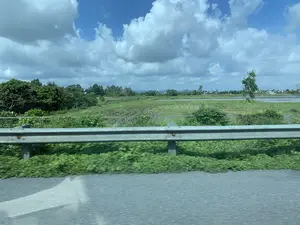 Bức ảnh chụp khung cảnh nông thôn điển hình ở Việt Nam, có thể là ở khu vực Thanh Hóa, được ghi lại từ một phương tiện đang di chuyển. Ở tiền cảnh là một hàng rào hộ lan bằng kim loại chạy dọc theo con đường. Phía sau hàng rào là một cánh đồng lúa rộng lớn. Cánh đồng có những mảng xanh của lúa đang phát triển, những khu vực ngập nước và cả những nơi còn trơ gốc rạ. Ở phía xa của cánh đồng, có thể thấy một người đang vận hành một chiếc máy nông nghiệp nhỏ, có thể là máy cày. Xa hơn nữa là những lùm cây, một vài ngôi nhà dân và các cột điện. Bầu trời trong xanh và có nhiều đám mây trắng lớn, cho thấy thời tiết đẹp. Không có chữ viết nào có thể đọc được trong ảnh.。（日本語訳）。ベトナムの典型的な田園風景を写した写真で、おそらくタインホア省のあたりで、移動中の乗り物から撮影されたものです。前景には、道路に沿って続く金属製のガードレールがあります。ガードレールの後ろには、広大な水田が広がっています。田んぼには、成長中の稲の緑色の部分、水が張られた区域、そして刈り株が残っている場所もあります。田んぼの遠くには、人が小型の農機具、おそらく耕運機を操作しているのが見えます。さらにその向こうには、木立、数軒の民家、そして電柱があります。空は青く澄み渡り、大きな白い雲が多く浮かんでおり、天気が良いことを示しています。写真の中には、読み取れる文字はありません。