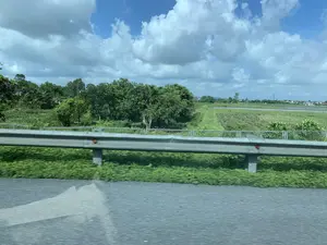 Bức ảnh chụp lại khung cảnh nông thôn ở Việt Nam, nhìn từ một phương tiện đang di chuyển. Ở tiền cảnh là một dải hộ lan (hàng rào chắn) bằng kim loại chạy dọc theo con đường nhựa. Phía sau hàng rào là một vùng đất nông nghiệp rộng lớn với những cánh đồng lúa. Một số thửa ruộng ngập nước, trong khi những thửa khác có vẻ như đã được thu hoạch. Ở phía xa trên cánh đồng, có thể thấy một vài người nông dân đang làm việc. Cảnh vật còn bao gồm nhiều cây cối xanh tươi, một vài ngôi nhà ẩn hiện sau lùm cây và một khu dân cư ở phía chân trời. Một cột điện cao thế cũng xuất hiện ở đằng xa. Bầu trời trong xanh và có nhiều mây trắng.。（日本語訳）。ベトナムの田園風景を、移動中の乗り物から撮影した写真です。前景には、アスファルトの道に沿って伸びる金属製のガードレール（防護柵）があります。柵の後ろには、水田のある広大な農地が広がっています。いくつかの田んぼには水が張られていますが、他の田んぼは収穫が終わったようです。遠くの田んぼでは、数人の農民が作業しているのが見えます。風景には、多くの青々とした木々、木々の茂みの後ろに見え隠れするいくつかの家、そして地平線にある住宅地も含まれています。遠くには高圧電線の鉄塔も見えます。空は青く澄んでおり、白い雲が多く浮かんでいます。