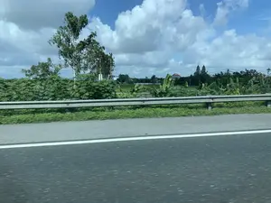 Bức ảnh được chụp từ một phương tiện đang di chuyển, cho thấy khung cảnh nông thôn bên đường. Ở phía trước là một phần của con đường nhựa và lan can bảo vệ. Phía sau lan can là cây cối xanh tươi, bao gồm cả những cây chuối và một cánh đồng lúa. Ở phía xa, giữa những lùm cây, có thể nhìn thấy một nhà thờ Công giáo với hai tháp chuông đặc trưng, cùng với một vài ngôi nhà khác. Bầu trời trong xanh và có nhiều mây trắng. Không có văn bản hay chữ viết nào có thể đọc được trong ảnh.。（日本語訳）。手前には、アスファルトの道路の一部とガードレールがあります。ガードレールの後ろには、バナナの木や水田を含む、青々とした木々があります。遠くの木々の間には、特徴的な2つの鐘楼を持つカトリック教会と、他のいくつかの家が見えます。空は青く澄んでおり、白い雲が多く浮かんでいます。写真の中には、読み取れるテキストや文字はありません。