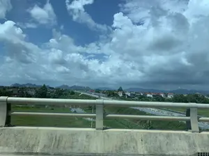 Bức ảnh được chụp từ trên một cây cầu hoặc đường trên cao, nhìn ra khung cảnh vùng nông thôn. Ở phía trước là lan can bê tông của cây cầu. Bên dưới là một con đường cao tốc có ô tô đang di chuyển. Có một biển báo giao thông màu xanh lá cây chỉ dẫn hướng đi Quốc lộ 45 (QL 45) về phía Thành phố Thanh Hóa. Xung quanh là những cánh đồng lúa xanh mướt, ao nước và các khu nhà dân. Một con trâu đang được nhìn thấy trên cánh đồng. Ở phía xa là những dãy núi trập trùng dưới bầu trời xanh có nhiều mây.。（日本語訳）。写真は橋または高架道路の上から撮影されたもので、田園風景を見渡しています。手前には橋のコンクリート製の手すりがあります。下には車が走行している高速道路があります。タインホア市方面へ向かう国道45号線（QL 45）を示す緑色の交通標識があります。周りには青々とした水田、池、そして住宅地が広がっています。田んぼには一頭の水牛が見えます。遠くには、雲の多い青空の下に、起伏のある山々が連なっています。