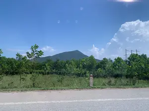 Bức ảnh chụp một khung cảnh nông thôn ven đường vào một ngày nắng đẹp. Ở tiền cảnh là một con đường nhựa. Bên vệ đường là một dải đất mọc đầy cỏ và cây dại, có một cột mốc bê tông với phần đỉnh màu đỏ. Phía sau là một khu vườn hoặc khu đất nông nghiệp trồng nhiều cây non xanh tốt. Ở phía xa là một ngọn núi lớn được cây cối bao phủ. Bầu trời trong xanh với vài đám mây trắng ở phía bên phải. Có thể nhìn thấy các cột điện và đường dây điện cao thế ở phía xa.。（日本語訳）。写真は、晴れた美しい日の道端の田園風景を写したものです。手前にはアスファルトの道路があります。道端には草や雑草が生い茂る土地が帯状にあり、上部が赤いコンクリートのキロポストがあります。その後ろには、青々とした多くの若木が植えられた庭または農地があります。遠くには木々に覆われた大きな山があります。空は青く澄んでおり、右側には白い雲がいくつか浮かんでいます。遠くに電柱と高圧電線が見えます。