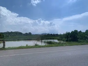 Bức ảnh chụp một khung cảnh nông thôn ven đường. Ở phía trước là một con đường nhựa. Bên lề đường có một cột mốc bê tông sơn đỏ ở phần đỉnh, nhưng không thể đọc được chữ trên đó. Cạnh đường là một cái ao nước đục, xung quanh có nhiều cỏ dại và cây cối. Phía sau ao là một vùng đất rộng lớn với cây xanh, có thể là đất nông nghiệp hoặc vườn cây. Xa xa phía chân trời là những dãy núi. Bầu trời trong xanh, có nhiều mây trắng lớn.。（日本語訳）。写真は道端の田舎の風景を撮影したものです。手前にはアスファルトの道があります。道端には、上部が赤く塗られたコンクリートのキロポストがありますが、そこに書かれている文字は読めません。道の隣には濁った水の池があり、その周りには多くの雑草や木々があります。池の後ろには緑の木々がある広大な土地が広がっており、農地か果樹園かもしれません。遠くの地平線には山々が連なっています。空は青く澄んでおり、大きな白い雲がたくさん浮かんでいます。