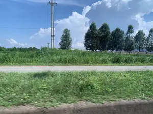 Bức ảnh chụp một khung cảnh ven đường ở vùng nông thôn hoặc ngoại ô, có thể được chụp từ một phương tiện đang di chuyển. Ở tiền cảnh và trung cảnh là một con đường nhựa và các bãi cỏ xanh mọc um tùm. Ở hậu cảnh, có một hàng cây xanh, một cột điện cao thế bằng bê tông, và một hàng rào. Bầu trời trong xanh với những đám mây trắng lớn. Không có người hay hoạt động cụ thể nào được ghi lại.。（日本語訳）。写真は、田舎または郊外の道端の風景を写したもので、移動中の乗り物から撮影された可能性があります。前景と中景には、アスファルトの道路と青々と茂る芝生があります。背景には、緑の木々の列、コンクリート製の高圧電柱、そして柵があります。空は青く澄んでおり、大きな白い雲が浮かんでいます。人物や特定の活動は記録されていません。