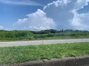 Đây là một bức ảnh phong cảnh được chụp từ một phương tiện đang di chuyển, nhìn ra một vùng nông thôn. Ở tiền cảnh là lề đường bằng bê tông và một dải cỏ xanh, hình ảnh hơi mờ cho thấy sự di chuyển. Phía bên kia con đường nhựa là một cánh đồng rộng lớn với cây cối và thảm thực vật um tùm, bao gồm cả những cây trồng cao như mía hoặc cỏ voi. Ở phía xa, có thể nhìn thấy những ngọn đồi được bao phủ bởi cây xanh. Bầu trời trong xanh, có nhiều mây trắng lớn, báo hiệu một ngày thời tiết đẹp.。（日本語訳）。これは移動中の乗り物から撮影された、田園地帯を見渡す風景写真です。前景にはコンクリートの路肩と緑の草地があり、画像がわずかにぼやけていることから動きが示唆されます。アスファルトの道路の向こう側には、サトウキビやエレファントグラスのような背の高い作物を含む、木々や青々とした植物が生い茂る広大な畑が広がっています。遠くには、緑に覆われた丘が見えます。空は青く澄み渡り、大きな白い雲が多く浮かんでおり、天気の良い一日を示しています。