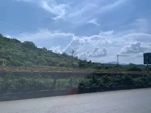 Đây là một bức ảnh phong cảnh chụp ven đường ở một khu vực đồi núi. Bầu trời trong xanh, có nhiều mây trắng. Phía dưới là một con đường nhựa. Bên cạnh đường là một sườn đồi được bao phủ bởi cây cối xanh tươi. Có thể thấy các luống cây cảnh với lá màu xanh và đỏ được trồng dọc theo ven đường. Nhiều đường dây điện và một vài cột điện chạy ngang qua khung cảnh. Ở phía xa bên phải, có một phần của biển báo giao thông nhưng không thể đọc được nội dung. Phía xa xa là hình bóng của những dãy núi. Không có hoạt động nào của con người được ghi lại trong ảnh.。（日本語訳）。これは、山岳地帯の道端で撮影された風景写真です。空は澄んだ青色で、白い雲が多く浮かんでいます。下の方にはアスファルトの道路があります。道路の脇には、青々とした木々に覆われた丘の斜面があります。道端に沿って、緑と赤の葉を持つ観賞植物の畝が植えられているのが見えます。多くの電線と数本の電柱が風景を横切っています。右の遠くには、交通標識の一部が見えますが、内容は読み取れません。はるか遠くには、山々のシルエットが見えます。写真には人間の活動は記録されていません。