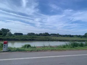 Trên hình có một cột mốc bên đường ghi 'QL. 47', cho biết đây là Quốc lộ 47. Bức ảnh chụp một khung cảnh nông thôn điển hình ở Việt Nam, có thể là ở khu vực Thanh Hóa, nhìn từ một con đường nhựa. Cạnh đường là một con sông hoặc ao lớn, mặt nước phẳng lặng. Dưới sông có một đàn vịt hoặc ngan trắng đang bơi, cho thấy hoạt động chăn nuôi gia cầm. Phía bên kia bờ sông là một cánh đồng xanh, nơi có một vài con gia súc như trâu hoặc bò đang được chăn thả. Xa hơn trong khung cảnh là những hàng cây xanh và một vài mái nhà. Bầu trời trong xanh với những gợn mây trắng. Có các đường dây điện chạy ngang qua phía trên.。（日本語訳）。写真には道端に「QL. 47」と書かれた標識があり、これが国道47号線であることを示しています。この写真は、アスファルトの道から見た、ベトナムの典型的な田園風景を写したもので、おそらくタインホア地方のものでしょう。道の隣には大きな川か池があり、水面は穏やかです。川には白いアヒルかガチョウの群れが泳いでおり、家禽の飼育が行われていることがわかります。川の対岸には緑の野原が広がり、そこでは水牛や牛のような数頭の家畜が放牧されています。風景のさらに奥には、緑の木々の列といくつかの家の屋根があります。空は青く澄み渡り、白い雲が少し浮かんでいます。上方には電線が横切っています。