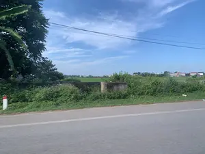 Bức ảnh chụp một khung cảnh nông thôn ở Việt Nam, nhìn từ một con đường nhựa. Bên vệ đường có một cọc tiêu sơn hai màu đỏ trắng và các bụi cây dại mọc um tùm. Phía sau các bụi cây là một cánh đồng lúa xanh mướt trải dài. Có một vài kết cấu bê tông nhỏ, có thể là một phần của cây cầu hoặc cống thoát nước. Ở phía xa, có thể thấy những ngôi nhà của một ngôi làng nằm xen lẫn với cây cối. Bầu trời trong xanh, có mây trắng và những đường dây điện chạy ngang qua.。（日本語訳）。ベトナムの田舎の風景を、アスファルトの道から撮影した写真です。道端には赤と白の二色に塗られた標識杭が一本あり、雑草の茂みが生い茂っています。茂みの後ろには、青々とした水田が広がっています。小さなコンクリートの構造物がいくつかあり、それは橋の一部か排水溝かもしれません。遠くには、木々に混じって建っている村の家々が見えます。空は青く澄み、白い雲があり、電線が横切っています。