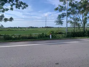 Bức ảnh chụp một khung cảnh nông thôn ven đường. Ở phía trước là một con đường nhựa có vạch kẻ trắng. Bên vệ đường có một cột mốc bê tông sơn trắng với phần đỉnh màu đỏ. Phía sau con đường là một cánh đồng lúa rộng lớn, xanh mướt. Có thể thấy các cột điện và đường dây điện chạy ngang qua cánh đồng. Ở phía xa là những ngôi nhà và cây cối của một khu dân cư hoặc một ngôi làng. Bầu trời trong xanh với những đám mây trắng. Không có hoạt động cụ thể nào của con người được nhìn thấy rõ trong ảnh.。（日本語訳）。写真は道端の田舎の風景を写しています。手前には、白い線が引かれたアスファルトの道があります。道端には、上部が赤く塗られた白いコンクリートのキロポストがあります。道の向こうには、広大で青々とした水田が広がっています。田んぼを横切る電柱と電線が見えます。遠くには、住宅地または村の家々や木々があります。空は青く澄んでおり、白い雲が浮かんでいます。写真には、特定の人の活動ははっきりと見えません。