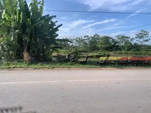 Hình ảnh chụp một khung cảnh ven đường ở vùng nông thôn. Bên lề đường nhựa là một hàng ghế đá nhiều màu sắc, chủ yếu là màu vàng và màu cam, được xếp trên bãi cỏ. Phía sau hàng ghế là một bụi chuối rậm rạp và một cái ao hoặc kênh nước. Bờ bên kia của ao có nhiều cây cối xanh tốt. Bầu trời trong xanh, có mây trắng và có đường dây điện bắc ngang. Không có người hay hoạt động nào được ghi nhận. Không có văn bản hay biển hiệu nào có thể đọc được.。（日本語訳）。田舎の道端の風景を撮影した写真です。アスファルトの道端には、主に黄色とオレンジ色のカラフルな石のベンチが芝生の上に並んでいます。ベンチの列の後ろには、鬱蒼と茂るバナナの木と、池または水路があります。池の向こう岸には、青々と茂る木々がたくさんあります。空は青く澄み渡り、白い雲があり、電線が横切っています。人や活動は記録されていません。読み取れる文字や看板はありません。