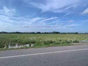 Bức ảnh chụp một khung cảnh nông thôn. Ở phía trước là một con đường nhựa. Bên cạnh con đường là một cánh đồng lúa rộng lớn, xanh tươi và ngập nước. Có một đàn vịt trắng đang bơi lội và kiếm ăn trên ruộng, cho thấy hoạt động chăn thả vịt. Ở phía xa là hàng cây xanh và các cột điện. Bầu trời trong xanh, có nhiều mây trắng.。（日本語訳）。写真は田舎の風景を写しています。手前にはアスファルトの道があります。道の隣には、広大で青々とし、水が張られた田んぼがあります。田んぼでは白いアヒルの群れが泳いだり餌を探したりしており、アヒルの放牧活動が見られます。遠くには緑の木々の列と電柱があります。空は澄んだ青色で、白い雲がたくさん浮かんでいます。