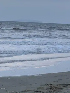 Khung cảnh một bãi biển vào một ngày trời u ám hoặc lúc chạng vạng. Mặt biển động, những con sóng bạc đầu nối tiếp nhau xô vào bờ cát. Bãi cát ẩm ướt, có màu sẫm, và ở gần mép nước có một ít rác hoặc rong biển trôi dạt vào. Phía xa trên đường chân trời, có thể thấy bóng mờ của một dãy núi hoặc một hòn đảo. Bầu trời xám xịt, không có người hay tàu thuyền nào xuất hiện trong ảnh. Không có bất kỳ văn bản nào có thể đọc được.。（日本語訳）。曇りの日、あるいは黄昏時のとあるビーチの光景。海面は荒れており、白波が次々と砂浜に打ち寄せている。砂浜は湿って暗い色をしており、水際には少量のゴミか海藻が打ち上げられている。空はどんよりと灰色で、写真には人や船の姿はない。読み取れる文字は一切ない。