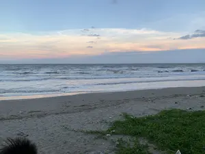 Đây là khung cảnh một bãi biển vào lúc hoàng hôn hoặc bình minh. Bầu trời có màu xanh lam, pha lẫn sắc hồng và cam nhạt với những đám mây mỏng. Mặt biển đang có sóng vỗ vào bờ. Bãi cát rộng, ở phía trước có một thảm rau muống biển màu xanh đang phát triển. Có một ít rác rải rác trên cát. Ở góc dưới bên trái của bức ảnh, có thể thấy một phần đầu của một người.。（日本語訳）。これは、夕暮れ時または夜明け時のビーチの光景です。空は青く、薄いピンク色と淡いオレンジ色が混じり、薄い雲が浮かんでいます。海面には波が打ち寄せています。砂浜は広く、手前には緑色のグンバイヒルガオの群生が広がっています。砂の上にはゴミが少し散らばっています。写真の左下隅には、人の頭の一部が見えます。