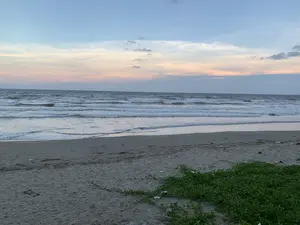 Đây là khung cảnh một bãi biển vào lúc hoàng hôn hoặc bình minh. Bầu trời có màu xanh lam, pha lẫn những đám mây màu hồng nhạt và trắng. Dưới mặt biển, những con sóng đang liên tục vỗ vào bờ cát. Có một vật thể nhỏ cắm cờ màu cam đang nổi trên mặt nước, có thể là phao đánh dấu hoặc một phần của ngư cụ. Bãi cát có một ít rác và một cụm cây dây leo màu xanh lá cây đang phát triển. Không có người hay hoạt động cụ thể nào được ghi lại. Không có bất kỳ chữ viết hay biển báo nào trong ảnh.。（日本語訳）。これは夕暮れ時、または夜明け時のビーチの風景です。空は青く、薄ピンク色と白色の雲が混じっています。海面では、波が絶えず砂浜に打ち寄せています。水面にオレンジ色の旗を立てた小さな物体が浮いており、それは目印のブイか漁具の一部である可能性があります。砂浜には少量のゴミと、成長している緑色のつる植物の群生があります。人や特定の活動は記録されていません。写真にはいかなる文字や看板もありません。