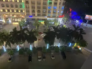 Bức ảnh chụp từ trên cao một con phố ở thành phố vào ban đêm. Trung tâm của bức ảnh là một tòa nhà lớn, sáng đèn, là khách sạn có biển hiệu "DAI VIET HOTEL". Ở tầng trệt của tòa nhà này có các cơ sở kinh doanh khác, bao gồm một ngân hàng với logo "ACB" màu xanh và một cửa hàng có biển hiệu "NHÀ SÁCH" màu đỏ. Một biển hiệu khác ghi "Welcome to Palm Hotel" cũng có thể được nhìn thấy. Phía trước khách sạn là một bãi đậu xe với nhiều loại ô tô đang đỗ. Bên phải là một con đường tấp nập người và xe cộ, chủ yếu là xe máy. Cây cối, bao gồm cả những cây cọ cao, được trang trí bằng đèn LED nhiều màu sắc (xanh, trắng, đỏ), làm cho khung cảnh ban đêm thêm phần sống động. Ở phía xa bên phải, có một biển quảng cáo lớn ghi "GENERALI BẢO HIỂM". Một số cột cờ với cờ đang bay cũng được nhìn thấy.。（日本語訳）。夜の街の通りを上空から撮影した写真です。写真の中央には、明るく照らされた大きな建物があり、「DAI VIET HOTEL」という看板のあるホテルです。この建物の1階には、青い「ACB」のロゴがある銀行や、赤い「NHÀ SÁCH」の看板がある店など、他の商業施設があります。「Welcome to Palm Hotel」と書かれた別の看板も見えます。ホテルの前には、さまざまな種類の車が駐車している駐車場があります。右側には、主にバイクを中心とした人や車で賑わう道があります。高いヤシの木を含む木々は、色とりどり（青、白、赤）のLEDライトで飾られており、夜景をさらに活気づけています。右側の遠くには、「GENERALI BẢO HIỂM」と書かれた大きな広告看板があります。旗がはためくいくつかの旗竿も見えます。