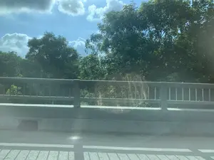 Hình ảnh được chụp từ trên một cây cầu, có thể là khi đang di chuyển bằng phương tiện giao thông. Ở phía trước là lan can kim loại và thành cầu bằng bê tông. Phía sau lan can là một khu vực có nhiều cây cối xanh tươi, rậm rạp. Bầu trời trong xanh, có nắng và mây trắng. Bóng của lan can đổ xuống mặt đường. Không có bất kỳ văn bản hay hoạt động cụ thể nào của con người được ghi lại trong ảnh.。（日本語訳）。写真は橋の上から撮影されたもので、乗り物で移動中に撮られた可能性があります。手前には金属製の手すりとコンクリート製の橋の欄干があります。手すりの向こうには、青々とした木々が鬱蒼と茂るエリアが広がっています。空は澄んだ青色で、晴れており、白い雲が浮かんでいます。手すりの影が路面に落ちています。写真には、いかなる文字や特定の人物の活動も記録されていません。