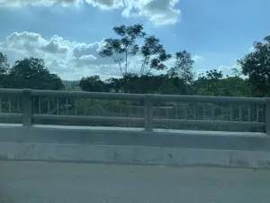 写真は、農村地帯にある橋から見た風景を捉えています。手前は、金属製の手すりが付いたコンクリート製の橋の欄干と、アスファルト路面の一部です。欄干の向こうには、多くの木々と青々とした植生のある土地があります。遠くには、田畑が見えます。空は青く澄み渡り、白い雲が浮かんでおり、天気が良いことを示しています。特定の人間の活動は見られず、橋を渡っているときに撮影された静かな風景であることがわかります