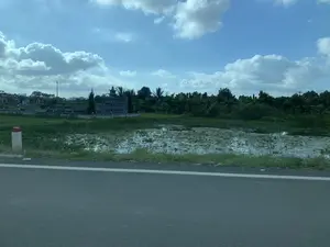 Hình ảnh ghi lại một cảnh quan vùng nông thôn ven đường. Tiền cảnh là một phần của con đường nhựa với vạch kẻ đường màu trắng. Sát lề đường có một cột mốc chỉ giới đường bộ (cọc tiêu) màu trắng và đỏ. Bên cạnh đường là một ao nước, bề mặt phủ đầy các loại cây thủy sinh như bèo hoặc hoa súng. Phía bên kia ao là một khu lăng mộ hoặc một phần của nghĩa trang. Có thể thấy nhiều ngôi mộ bằng đá với các kích cỡ khác nhau, trong đó nổi bật là một ngôi mộ lớn có kiến trúc dạng tháp. Phía sau khu mộ và ao nước là một hàng cây xanh rậm rạp, bao gồm cây chuối và cây cọ. Bầu trời xanh trong với những đám mây trắng. Không có người hay hoạt động nào diễn ra trong ảnh. Không có văn bản hay chữ viết nào có thể đọc được.。（日本語訳）。画像は道沿いの田舎の風景を記録しています。路肩には、白と赤の道路境界標（デリニエーターポール）があります。道路の隣には池があり、その水面は浮き草やスイレンのような水生植物で覆われています。池の向こう側には、霊廟群または墓地の一部があります。様々な大きさの石造りの墓が多数見られ、その中でも塔のような建築様式の大きな墓が目立っています。墓地と池の後ろには、バナナの木やヤシの木を含む、青々と茂った木々の列があります。空は青く澄み渡り、白い雲が浮かんでいます。画像の中には人や活動は見られません。読み取れるテキストや文字はありません。