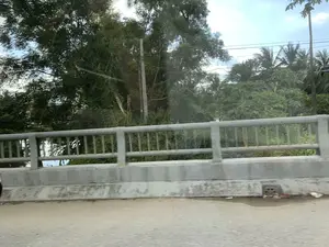 Hình ảnh được chụp từ một phương tiện đang di chuyển, ghi lại cảnh vật bên đường khi đi qua một cây cầu. Trong ảnh có một lan can cầu bằng bê tông với các thanh chắn bằng kim loại. Phía sau lan can là một khung cảnh làng quê với thảm thực vật phong phú, bao gồm nhiều cây lớn, cây dừa và cây đu đủ. Xen kẽ giữa các lùm cây là cột điện và đường dây điện. Qua các khe hở của lan can, có thể nhìn thấy một phần của một con sông hoặc kênh nước. Bầu trời có mây. Không có chữ viết nào có thể đọc được. Hoạt động chính là di chuyển qua cầu.。（日本語訳）。移動中の乗り物から撮影された画像で、橋を渡る際の道端の風景を記録しています。欄干の後ろには、多くの大きな木、ココヤシ、パパイヤの木など、豊かな植生のある田舎の風景が広がっています。木々の茂みの間には、電柱と電線が点在しています。欄干の隙間からは、川または水路の一部が見えます。空は曇っています。読み取れる文字はありません。主な活動は橋を渡ることです。