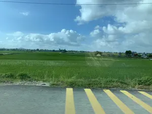 Bức ảnh chụp một khung cảnh nông thôn điển hình với một cánh đồng lúa rộng lớn, xanh mướt. Cây lúa đang trong giai đoạn phát triển, được trồng trên những thửa ruộng ngập nước. Ở phía xa, có thể thấy một vài ngôi nhà, cây cối và một số công trình lăng mộ được xây dựng giữa đồng. Bầu trời trong xanh với nhiều mây trắng. Phần tiền cảnh của bức ảnh cho thấy một phần của con đường nhựa có vạch kẻ đường màu vàng, hình ảnh bị mờ cho thấy nó được chụp từ một phương tiện đang di chuyển. Một đường dây điện vắt ngang qua phía trên của bức ảnh.。（日本語訳）。写真は、広大で青々とした水田が広がる、典型的な田園風景を写しています。稲は成長期にあり、水が張られた田んぼに植えられています。遠くには、いくつかの家、木々、そして田んぼの中に建てられたいくつかの墓の建造物が見えます。空は青く澄み渡り、白い雲が多く浮かんでいます。写真の前景には、黄色い車線が引かれたアスファルト道路の一部が写っており、画像がぼやけていることから、移動中の乗り物から撮影されたことがわかります。写真の上部を一本の電線が横切っています。