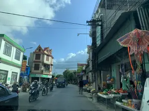 Đây là khung cảnh một con phố ở Việt Nam vào một ngày nắng. Bầu trời trong xanh và có mây. Hai bên đường là những ngôi nhà cao tầng san sát. Dưới lòng đường, nhiều người đang tham gia giao thông bằng xe máy, một số đeo khẩu trang và đội mũ bảo hiểm. Ngoài ra còn có một chiếc xe tải nhỏ và một người phụ nữ đội nón lá đang đi xe. Ở vỉa hè bên phải, một sạp hàng rong bày bán nhiều loại trái cây (dưa hấu, ổi, nho, táo), đồ chơi (bóng bay, một chiếc diều lớn hình phượng hoàng sặc sỡ) và ô dù. Một người đàn ông đang đi bộ trên vỉa hè. Có thể thấy một cột điện với mạng lưới dây điện phức tạp. Các dòng chữ trên biển hiệu và biểu ngữ có thể nhận dạng được bao gồm: biểu ngữ màu đỏ "ĐẢNG CỘNG SẢN VIỆT NAM QUANG VINH MUÔN NĂM。", biển hiệu cửa hàng "Kangaroo", "SƠN ĐÀO", và một biển hiệu màu xanh dương có chữ "DUYỆT" cùng thông tin "SGP: 48.HL/TH-ĐKKD", "Hotline: 0986 155 442". Một lá cờ Việt Nam được treo trên ban công một ngôi nhà.。（日本語訳）。これは晴れた日のベトナムのある通りの風景です。空は青く澄み、雲があります。道の両側には高層の家が密集しています。車道では、多くの人々がバイクで交通に参加しており、中にはマスクを着用しヘルメットをかぶっている人もいます。その他に、一台の小型トラックと、ノンラーをかぶった女性が乗り物に乗っています。右側の歩道では、露店が多くの種類の果物（スイカ、グアバ、ブドウ、リンゴ）、おもちゃ（風船、色鮮やかな鳳凰の形をした大きな凧）、そして傘を並べて売っています。一人の男性が歩道を歩いています。複雑な電線網を持つ一本の電柱が見えます。看板や横断幕に見分けられる文字には、以下のものが含まれます：赤い横断幕の「ĐẢNG CỘNG SẢN VIỆT NAM QUANG VINH MUÔN NĂM。」、店の看板「Kangaroo」、「SƠN ĐÀO」、そして「DUYỆT」という文字と「SGP: 48.HL/TH-ĐKKD」、「Hotline: 0986 155 442」という情報が書かれた青い看板。一軒の家のバルコニーにベトナムの国旗が掲げられています。