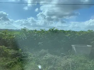 Đây là một khung cảnh nông thôn, có thể được chụp từ một phương tiện đang di chuyển. Bầu trời trong xanh với nhiều mây trắng và có đường dây điện bắc ngang. Ở phía trước là một khu đất trồng cây sắn (khoai mì) xanh tốt. Phía sau là một cánh đồng lúa. Ở phía xa, có thể nhìn thấy một vài ngôi nhà và hai người dường như đang làm nông nghiệp trên cánh đồng. Bên phải có một cái bể lớn, có thể bằng xi măng, đặt trên bãi cỏ. Không có thông tin chữ viết nào trong ảnh.。（日本語訳）。これは田園風景で、移動中の乗り物から撮影された可能性があります。空は青く澄み渡り、白い雲が多く浮かんでおり、電線が横切っています。手前には、青々と茂るキャッサバ（タピオカ）が植えられた土地があります。その後ろには水田が広がっています。右側には、おそらくセメント製で、草の上に置かれた大きな水槽があります。写真には文字情報は一切ありません。