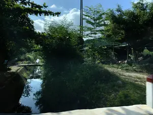 Bức ảnh ghi lại một khung cảnh ven đường ở một vùng nông thôn, có vẻ như được chụp từ một phương tiện đang di chuyển. Bên trái là một con mương nhỏ có bờ kè bằng bê tông, mặt nước tĩnh lặng phản chiếu bóng cây và bầu trời xanh. Có một cây cầu ván đơn sơ bắc qua con mương. Bên phải là một con đường đất chạy dọc theo bờ mương, với cây cối và bụi rậm mọc um tùm. Phía sau lùm cây là một ngôi nhà có mái lợp tôn và một vài khúc gỗ được chất đống. Có thể thấy cột điện và dây điện trên nền trời. Ở rìa phải của ảnh là một cọc tiêu giao thông sơn màu trắng và đỏ. Không có hoạt động nào của con người được thể hiện rõ ràng và không có bất kỳ văn bản nào có thể đọc được.。（日本語訳）。写真は、ある田舎の道端の風景を捉えており、移動中の乗り物から撮影されたようだ。左側にはコンクリートの護岸がある小さな用水路があり、静かな水面は木々の影と青い空を映している。用水路には簡素な板の橋が架かっている。木々の茂みの後ろには、トタン屋根の家と、積み重ねられたいくつかの丸太がある。写真の右端には、白と赤に塗られた交通用の標識杭がある。人間の活動は明確には示されておらず、読み取れる文字もない。