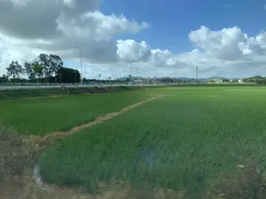Đây là một khung cảnh nông thôn với một cánh đồng lúa rộng lớn, xanh mướt. Những cây lúa đang trong giai đoạn phát triển. Bên cạnh cánh đồng là một con đường có các cột đèn đường. Ở phía xa, có thể nhìn thấy một vài ngôi nhà, cây cối và dãy núi. Bầu trời trong xanh và có nhiều mây trắng. Không có hoạt động cụ thể nào của con người được nhìn thấy. Không có văn bản hay biển báo nào trong ảnh.。（日本語訳）。これは、広大で青々とした水田のある田園風景です。稲は成長段階にあります。田んぼの隣には、街灯のある道があります。遠くには、いくつかの家、木々、そして山脈が見えます。空は青く澄んでおり、白い雲がたくさんあります。特定の人間の活動は見られません。写真には文字や標識はありません。