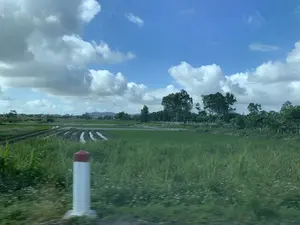 Bức ảnh chụp phong cảnh một vùng nông thôn. Bầu trời trong xanh với nhiều đám mây trắng. Phía trước là một cánh đồng rộng lớn, một phần được trồng cây xanh, có thể là lúa hoặc cỏ, và một phần khác là các luống đất đã được cày xới và có nước, cho thấy sự chuẩn bị cho việc canh tác. Ở phía xa là những ngôi nhà, cây cối và những ngọn đồi mờ. Ở rìa cánh đồng có thể thấy các loại cây như cây bạch đàn và cây chuối. Ở góc dưới bên trái, có một cột mốc bê tông sơn trắng với chóp đỏ, là loại cột mốc thường thấy ven đường ở Việt Nam. Không có chữ viết nào có thể nhận dạng được trong ảnh.。（日本語訳）。ある田舎の風景を撮った写真です。空は澄み切った青色で、白い雲がたくさん浮かんでいます。手前には広大な畑が広がっており、その一部には緑の植物、おそらく稲か草が植えられています。もう一方の部分は、耕されて水が張られた畝（うね）になっており、耕作の準備がされていることがわかります。遠くには家々、木々、そして霞んだ丘が見えます。畑の端には、ユーカリやバナナの木のような植物が見られます。左下の角には、先端が赤く塗られた白いコンクリート製の標柱があり、これはベトナムの道端でよく見られるタイプのものです。写真の中には、識別できる文字はありません。