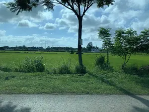Bức ảnh chụp một khung cảnh nông thôn với một cánh đồng lúa xanh mướt rộng lớn. Ở phía trước là một con đường nhựa và lề đường cỏ. Một thân cây lớn đứng ở giữa, trên thân cây có treo một vật thể hình chữ nhật trông giống như một tấm biển báo nhưng không thể đọc được nội dung. Phía sau cánh đồng, ở phía xa, có thể thấy một vài ngôi nhà, cây cối và các cột điện. Bầu trời trong xanh và có nhiều mây trắng. Khung cảnh cho thấy đây là một khu vực nông nghiệp, hoạt động chính là trồng lúa, mặc dù không có người nào đang làm việc trên đồng vào thời điểm chụp ảnh.。（日本語訳）。写真は、青々とした広大な水田が広がる田園風景を写しています。手前にはアスファルトの道路と草の生えた路肩があります。中央に大きな木の幹が立っており、その幹には看板のような長方形の物体が掛けられていますが、内容は読み取れません。田んぼの向こう、遠くには、いくつかの家、木々、電柱が見えます。空は青く澄んでおり、白い雲が多く浮かんでいます。この風景は、ここが農業地域であり、主な活動は稲作であることを示していますが、撮影時には田んぼで作業している人はいません。
