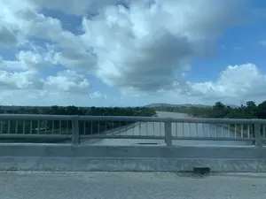 Bức ảnh được chụp từ trên một cây cầu, nhìn ra một con sông rộng. Phía trước là lan can cầu bằng bê tông và kim loại. Dòng sông có màu nước nâu đục. Dọc theo bờ sông là thảm thực vật xanh tươi, chủ yếu là cây cối. Ở phía xa có thể thấy những ngọn đồi hoặc núi. Bầu trời trong xanh và có nhiều mây trắng. Có một chiếc thuyền nhỏ trên sông ở phía xa.。（日本語訳）。写真は橋の上から撮られたもので、広い川を見渡しています。手前にはコンクリートと金属でできた橋の欄干があります。川の水は茶色く濁っています。川岸に沿って、主に木々からなる青々とした植物が生い茂っています。遠くには丘または山が見えます。空は青く澄んでおり、白い雲がたくさん浮かんでいます。遠くの川の上に小さな船が一隻あります。