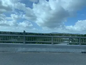 Bức ảnh được chụp từ một phương tiện đang di chuyển trên cầu, nhìn ra khung cảnh vùng nông thôn. Ở tiền cảnh là mặt đường nhựa và lan can cầu bằng bê tông. Phía sau lan can là một con sông hoặc kênh nước. Bên kia bờ là một vùng đất rộng lớn với cây cối xanh tươi, xen lẫn một vài ngôi nhà của người dân. Ở phía xa, có thể nhìn thấy những dãy núi thấp. Bầu trời trong xanh, có nhiều mây trắng. Không có văn bản hay hoạt động cụ thể nào của con người được ghi lại trong ảnh.。（日本語訳）。写真は橋の上を移動中の乗り物から撮影されたもので、田園風景を望んでいる。前景には、アスファルトの路面とコンクリート製の橋の欄干がある。欄干の後ろには、川または水路がある。対岸には、緑豊かな木々が生い茂る広大な土地が広がり、民家が数軒点在している。空は青く澄み渡り、白い雲が多く浮かんでいる。写真には、文字や特定の人物の活動は記録されていない。