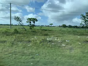 Bức ảnh ghi lại một khung cảnh nông thôn ở Việt Nam, có thể được chụp từ một phương tiện đang di chuyển vì phần tiền cảnh bị mờ. Cảnh vật bao gồm một cánh đồng lúa nước rộng lớn. Xa xa phía sau cánh đồng là một khu dân cư với nhiều ngôi nhà. Có một cột điện bê tông ở bên trái và các đường dây điện chạy ngang qua bầu trời. Một vài cây xanh, bao gồm cả cây đu đủ, mọc rải rác. Bầu trời trong xanh và có nhiều mây. Trên cột điện có một nhãn dán nhưng không thể đọc được chữ. Ở khu vực cỏ phía trước có một ít rác thải.。（日本語訳）。この写真はベトナムの田園風景を記録したもので、前景がぼやけていることから、移動中の乗り物から撮影された可能性があります。風景には広大な水田が含まれています。田んぼの遠く後ろには、多くの家がある住宅地があります。左側にはコンクリートの電柱が1本あり、電線が空を横切っています。パパイヤの木を含むいくつかの緑の木が点在しています。空は青く澄んでおり、多くの雲があります。電柱にはステッカーが貼られていますが、文字を読むことはできません。手前の草地には、いくつかのゴミがあります。