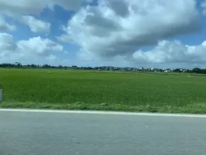 Bức ảnh chụp phong cảnh một vùng nông thôn, có vẻ như được chụp từ một phương tiện đang di chuyển. Nổi bật trong ảnh là một cánh đồng lúa xanh mướt, rộng lớn. Trên cánh đồng, có một người nông dân đội nón lá đang cúi mình làm việc. Phía xa là một ngôi làng với nhiều nhà cửa và cây cối. Bầu trời trong xanh và có nhiều mây. Ở phía trước, có một phần của con đường nhựa và một cọc tiêu ven đường. Không có chữ viết nào có thể đọc được trong ảnh.。（日本語訳）。田舎の風景を写した写真で、移動中の乗り物から撮影されたようです。写真の中で目立っているのは、広大で青々とした水田です。田んぼでは、ノンラーをかぶった農家の人が一人、腰をかがめて作業をしています。遠くには、多くの家や木々がある村が見えます。空は青く澄んでおり、雲が多く浮かんでいます。手前には、アスファルトの道路の一部と道端の標識があります。写真には、読み取れる文字はありません。