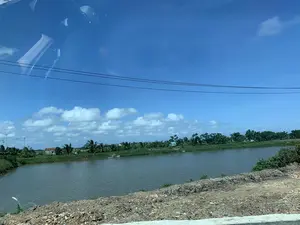 Bức ảnh chụp phong cảnh một vùng nông thôn, có vẻ như được chụp từ bên trong một chiếc xe hơi đang di chuyển, có thể thấy qua hình ảnh phản chiếu trên cửa kính. Cảnh vật chính là một con sông hoặc một ao nuôi trồng thủy sản lớn với mặt nước màu xanh đục. Phía trước, gần với người chụp là một bờ kè hoặc lề đường bằng đất đá. Bên kia bờ là một dải đất xanh tươi với nhiều cây cối, bao gồm cả cây dừa và các lùm cây khác. Ở phía xa có thể thấy một vài ngôi nhà dân và một căn lều nhỏ. Bầu trời trong xanh, có nhiều mây trắng. Một vài đường dây điện chạy ngang qua phần trên của bức ảnh. Không có người hay hoạt động cụ thể nào được ghi lại, nhưng bối cảnh cho thấy đây có thể là khu vực nuôi trồng thủy sản. Không có bất kỳ văn bản hay chữ viết nào trong ảnh.。（日本語訳）。田舎の風景を撮影した写真で、窓ガラスの反射から、移動中の車内から撮影されたようです。主な風景は、濁った緑色の水面を持つ川、あるいは大きな養殖池です。手前、撮影者に近い側には、土手または土石でできた路肩があります。対岸には、ヤシの木やその他の茂みを含む多くの木々が生い茂る緑豊かな土地が広がっています。遠くには、数軒の民家と小さな小屋が見えます。空は青く澄んでおり、白い雲が多く浮かんでいます。写真の上部を数本の電線が横切っています。人物や特定の活動は写っていませんが、背景からここが水産養殖地域である可能性が示唆されます。写真にはいかなるテキストや文字もありません。