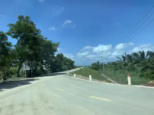 Bức ảnh chụp một con đường nông thôn vào một ngày nắng đẹp, trời trong xanh và có vài gợn mây trắng. Con đường được trải nhựa nhưng có nhiều bụi đất, có vạch kẻ đường đứt đoạn màu vàng ở giữa. Con đường uốn cong về phía bên trái. Dọc hai bên đường có các cọc tiêu sơn màu trắng và đỏ. Bên trái đường có nhiều cây xanh, bao gồm một cây phượng vĩ với những bông hoa đỏ. Có một biển báo hình chữ nhật lớn nhưng không thể đọc được nội dung vì chỉ nhìn thấy mặt sau. Bên phải là một bờ đất cao hơn mặt ruộng, có cỏ và cây dại mọc. Xa hơn là những hàng cây dừa và các cột điện, đường dây điện chạy dọc theo con đường. Khung cảnh cho thấy một vùng quê yên bình, không có hoạt động nào của con người được ghi lại.。（日本語訳）。写真は晴れた美しい日の田舎道を写しており、空は澄み切った青で、白い雲がいくつか浮かんでいる。道路は舗装されているが土埃が多く、中央には黄色い破線の車線がある。道路は左側にカーブしている。道路の両脇には白と赤に塗られた視線誘導標がある。道路の左側には多くの緑の木々があり、その中には赤い花を咲かせたホウオウボクが一本含まれている。大きな長方形の標識があるが、裏側しか見えないため内容は読み取れない。右側は田んぼの面より高い土手で、草や雑草が生えている。この光景は、人間の活動が記録されていない、のどかな田舎の地域を示している。