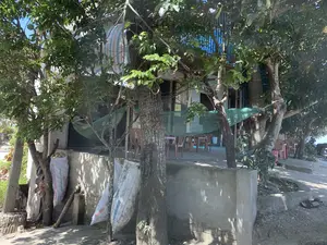 Chữ viết trên các bao tải trắng: "BIA TƯƠI THANH TRUNG - 1000ML", "CÔNG TY CỔ PHẦN BIA QT HÀ NỘI", "Premium Quality".。Đây là khung cảnh của một quán nước hoặc quán giải khát ven đường. Không gian quán chủ yếu ở ngoài trời, dưới bóng mát của nhiều cây xanh lớn. Một chiếc võng lưới màu xanh lá được mắc giữa hai thân cây, một hình ảnh quen thuộc cho việc nghỉ ngơi. Phía sau là hiên nhà có sàn lát gạch, được bố trí nhiều bộ bàn ghế nhựa để phục vụ khách, tuy nhiên hiện tại không có ai. Dựa vào gốc cây và bờ tường bê tông là một vài chiếc bao tải trắng đã qua sử dụng, vốn là bao bì của một hãng bia. Ở góc phải dưới đất có một đôi dép.。（日本語訳）。白い袋に書かれた文字：「THANH TRUNG 生ビール - 1000ML」、「ハノイQTビール株式会社」、「プレミアムクオリティ」。これは道端の飲み物屋または軽食店の光景です。店の空間は主に屋外にあり、多くの大きな緑の木々の木陰の下にあります。緑色の網のハンモックが二本の木の幹の間に張られており、休憩のための馴染み深い光景です。後ろには床がタイル張りになった家の軒先があり、客をもてなすために多くのプラスチック製のテーブルと椅子のセットが配置されていますが、現在誰もいません。木の根元とコンクリートの壁に寄りかかって、いくつかの使用済みの白い袋があります。それは元々あるビールメーカーの包装でした。地面の右隅に一足のサンダルがあります。