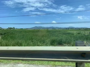 Bức ảnh chụp một khung cảnh nông thôn, nhìn từ một phương tiện đang di chuyển. Ở phía trước là một lan can đường kim loại. Phía sau lan can là một cánh đồng rộng lớn, ngập nước với các loại cây cỏ cao, xanh tươi mọc um tùm, có thể là ruộng lúa hoặc ruộng cói. Ở phía xa là những dãy núi, một vài ngôi nhà và cây cối. Bầu trời trong xanh, có mây trắng và nhiều đường dây điện chạy ngang qua.。（日本語訳）。写真は、移動中の乗り物から見た田園風景を写しています。手前には金属製のガードレールがあります。ガードレールの後ろには、水に浸かった広大な野原が広がっており、背の高い青々とした草木が生い茂っています。それは水田か、カヤツリグサの畑かもしれません。遠くには山々、数軒の家、そして木々が見えます。空は青く澄んでおり、白い雲があり、多くの電線が横切っています。