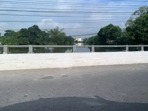 Bức ảnh chụp khung cảnh từ trên một cây cầu có lan can bê tông màu trắng và tay vịn bằng kim loại. Bên dưới cầu là một con sông hoặc kênh rạch, mặt nước phẳng lặng phản chiếu cây cối và một ngôi nhà. Hai bên bờ sông là cây cối xanh tươi rậm rạp. Ở phía xa, có một ngôi nhà nhiều tầng màu trắng. Bầu trời có mây và chằng chịt các đường dây điện, dây cáp. Không có văn bản hay hoạt động cụ thể nào của con người được nhìn thấy trong ảnh.。（日本語訳）。白いコンクリートの欄干と金属製の手すりがある橋の上からの風景写真です。橋の下には川か運河があり、穏やかな水面が木々と一軒の家を映しています。川の両岸には青々とした木々が鬱蒼と茂っています。遠くには、白い多層階の家があります。空は曇っており、電線やケーブルが張り巡らされています。写真には文字や特定の人の活動は見られません。