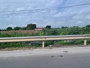 Bức ảnh chụp cảnh quan nông thôn ven đường. Ở phía trước là một con đường nhựa và một lan can bảo vệ. Phía sau lan can là một khu đất nông nghiệp, bao gồm một ruộng ngô với thân cây đã khô, cho thấy đã qua mùa thu hoạch. Xen kẽ là các loại cây trồng khác như mía, cây chuối và cây sắn. Ở phía xa có thể thấy một ngôi nhà lợp ngói đỏ nằm giữa những lùm cây. Bầu trời nhiều mây và có các đường dây điện chạy ngang qua. Không có hoạt động nào của con người được nhìn thấy. Không có chữ viết hay biển báo nào trong ảnh.。（日本語訳）。写真は道端の田舎の風景を写したものです。手前にはアスファルトの道路とガードレールがあります。ガードレールの後ろには農地が広がっており、そこには収穫期を過ぎたことを示す、茎が枯れたトウモロコシ畑があります。サトウキビ、バナナの木、キャッサバなどの他の作物も点在しています。遠くには、木々の間に赤い瓦屋根の家が見えます。空は曇り空で、電線が横切っています。人の活動は見られません。写真には文字や標識はありません。