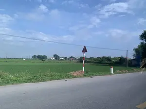 Hình ảnh ghi lại một khung cảnh nông thôn ở Việt Nam với một con đường nhựa ở phía trước. Bên cạnh con đường là một cánh đồng lúa xanh rộng lớn. Có một biển báo giao thông hình tam giác trên cột sơn sọc đỏ trắng, đây là biển báo nguy hiểm "Giao nhau với đường không ưu tiên" (W.207). Dọc lề đường còn có các cọc tiêu. Ở phía xa trên cánh đồng, có một người nông dân đội nón lá đang làm việc. Phía sau cánh đồng là một ngôi làng với nhiều nhà cửa. Bầu trời trong xanh, có mây trắng và có các đường dây điện chạy ngang qua.。（日本語訳）。画像はベトナムの田園風景を記録しており、手前にはアスファルトの道路があります。道路の隣には、広大な緑の田んぼが広がっています。赤と白の縞模様に塗られた柱の上には三角形の交通標識があり、これは危険標識「非優先道路との交差」（W.207）です。路肩に沿って、デリニエーター（視線誘導標）もあります。田んぼの遠くの方では、ノンラーをかぶった農家の人が一人、作業をしています。田んぼの後ろには、多くの家々がある村があります。空は青く澄み、白い雲があり、電線が横切っています。